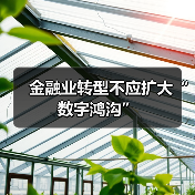 金融业转型不应扩大“数字鸿沟”(图3) 金融业转型不应扩大“数字鸿沟”(图3)