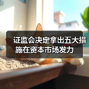 证监会决定拿出五大措施在资本市场发力（图4）