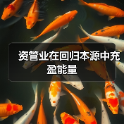 资管业在回归本源中充盈能量(图1) 资管业在回归本源中充盈能量(图1)