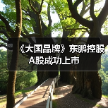 《大国品牌》东鹏控股A股成功上市(图1) 《大国品牌》东鹏控股A股成功上市(图1)