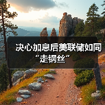 决心加息后美联储如同“走钢丝”(图3) 决心加息后美联储如同“走钢丝”(图3)
