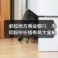 参股地方商业银行,海印股份长线布局大金融(图4) 参股地方商业银行,海印股份长线布局大金融(图4)