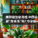 美联储加息落地,中国会被