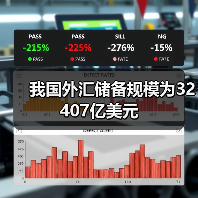 我国外汇储备规模为32407亿美元(图3) 我国外汇储备规模为32407亿美元(图3)