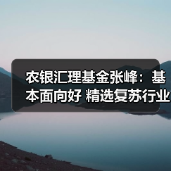 A股高位震荡待经济复苏 重点布局白酒新能源