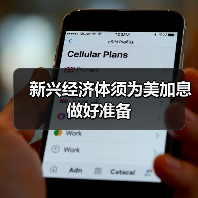 新兴经济体须为美加息做好准备(图3) 新兴经济体须为美加息做好准备(图3)