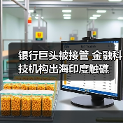 银行巨头被接管 金融科技机构出海印度触礁(图3) 银行巨头被接管 金融科技机构出海印度触礁(图3)