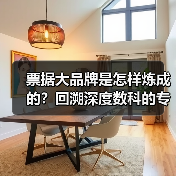 票据大品牌是怎样炼成的?回溯深度数科的专业锻造之旅(图2) 票据大品牌是怎样炼成的?回溯深度数科的专业锻造之旅(图2)