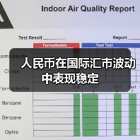人民币在国际汇市波动中表现稳定(图3) 人民币在国际汇市波动中表现稳定(图3)