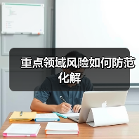 重点领域风险如何防范化解(图2) 重点领域风险如何防范化解(图2)