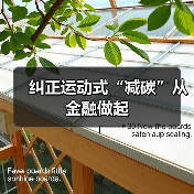 纠正运动式“减碳”从金融做起(图4) 纠正运动式“减碳”从金融做起(图4)