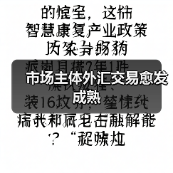 市场主体外汇交易愈发成熟(图2) 市场主体外汇交易愈发成熟(图2)