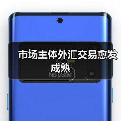 市场主体外汇交易愈发成熟(图3) 市场主体外汇交易愈发成熟(图3)