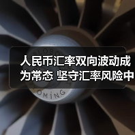 人民币汇率双向波动成为常态 坚守汇率风险中性理念(图2) 人民币汇率双向波动成为常态 坚守汇率风险中性理念(图2)