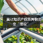莫让知识产权质押融资变“摆设”(图3) 莫让知识产权质押融资变“摆设”(图3)