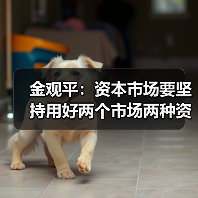 金观平:资本市场要坚持用好两个市场两种资源(图3) 金观平:资本市场要坚持用好两个市场两种资源(图3)