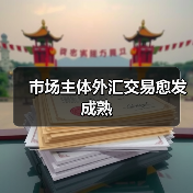 市场主体外汇交易愈发成熟(图3) 市场主体外汇交易愈发成熟(图3)