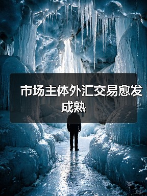 市场主体外汇交易愈发成熟(图4) 市场主体外汇交易愈发成熟(图4)
