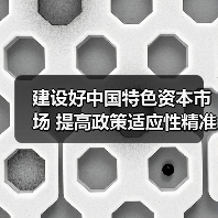 建设好中国特色资本市场 提高政策适应性精准性（图4）