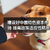 建设好中国特色资本市场 提高政策适应性精准性（图3）