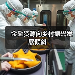 金融支持乡村振兴与脱贫攻坚有效衔接策略分析