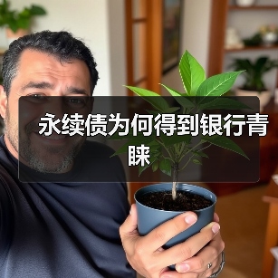 永续债为何得到银行青睐(图3) 永续债为何得到银行青睐(图3)