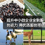提升中小微企业金融服务能力 用优质服务降低资金成本(图1) 提升中小微企业金融服务能力 用优质服务降低资金成本(图1)