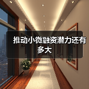 推动小微融资潜力还有多大(图4) 推动小微融资潜力还有多大(图4)