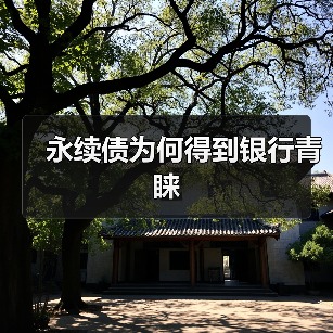 永续债为何得到银行青睐（图2）