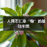 人民币汇率“稳”的基础牢固（图3）