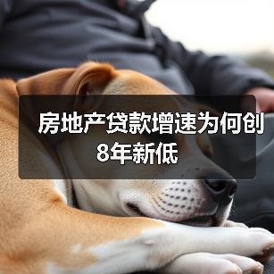 房地产贷款增速为何创8年新低（图4）