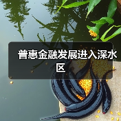 普惠金融发展进入深水区（图2）
