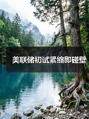 美联储初试紧缩即碰壁（图4）