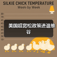 美国超宽松政策进退维谷(图1) 美国超宽松政策进退维谷(图1)