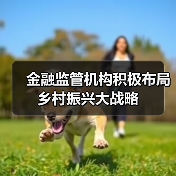 金融监管机构积极布局乡村振兴大战略（图4）