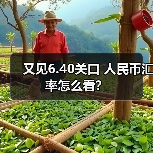 人民币汇率双向波动引关注，官方发声稳预期