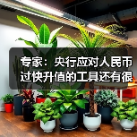 专家：央行应对人民币过快升值的工具还有很多（图3）