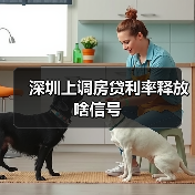 深圳上调房贷利率释放啥信号