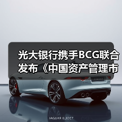 光大银行携手BCG联合发布《中国资产管理市场2020》研究报告（图4）