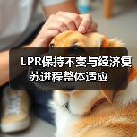 LPR连续12个月稳定，货币政策保持