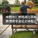 中国外汇市场运行平稳 跨境资金流动总体稳定(图1) 中国外汇市场运行平稳 跨境资金流动总体稳定(图1)