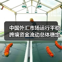 中国外汇市场运行平稳 跨境资金流动总体稳定(图2) 中国外汇市场运行平稳 跨境资金流动总体稳定(图2)