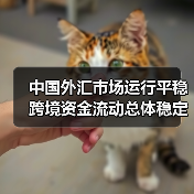 中国外汇市场运行平稳 跨境资金流动总体稳定