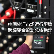 中国外汇市场运行平稳 跨境资金流动总体稳定(图3) 中国外汇市场运行平稳 跨境资金流动总体稳定(图3)