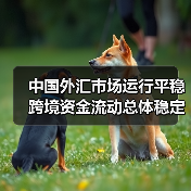 中国外汇市场运行平稳 跨境资金流动总体稳定(图4) 中国外汇市场运行平稳 跨境资金流动总体稳定(图4)