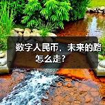 数字人民币,未来的路怎么走?(图2) 数字人民币,未来的路怎么走?(图2)