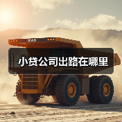 小贷公司出路在哪里(图4) 小贷公司出路在哪里(图4)