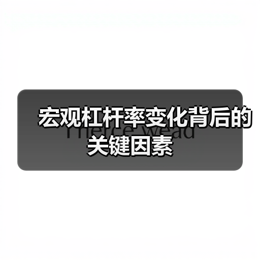 宏观杠杆率变化背后的关键因素（图3）
