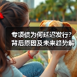 专项债为何延迟发行？背后原因及未来趋势解析（图4）