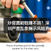 炒房真能稳赚不赔？深圳严查乱象揭示风险真相